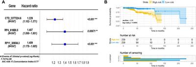 Prediction of Clinical Outcome in Endometrial Carcinoma Based on a 3-lncRNA Signature